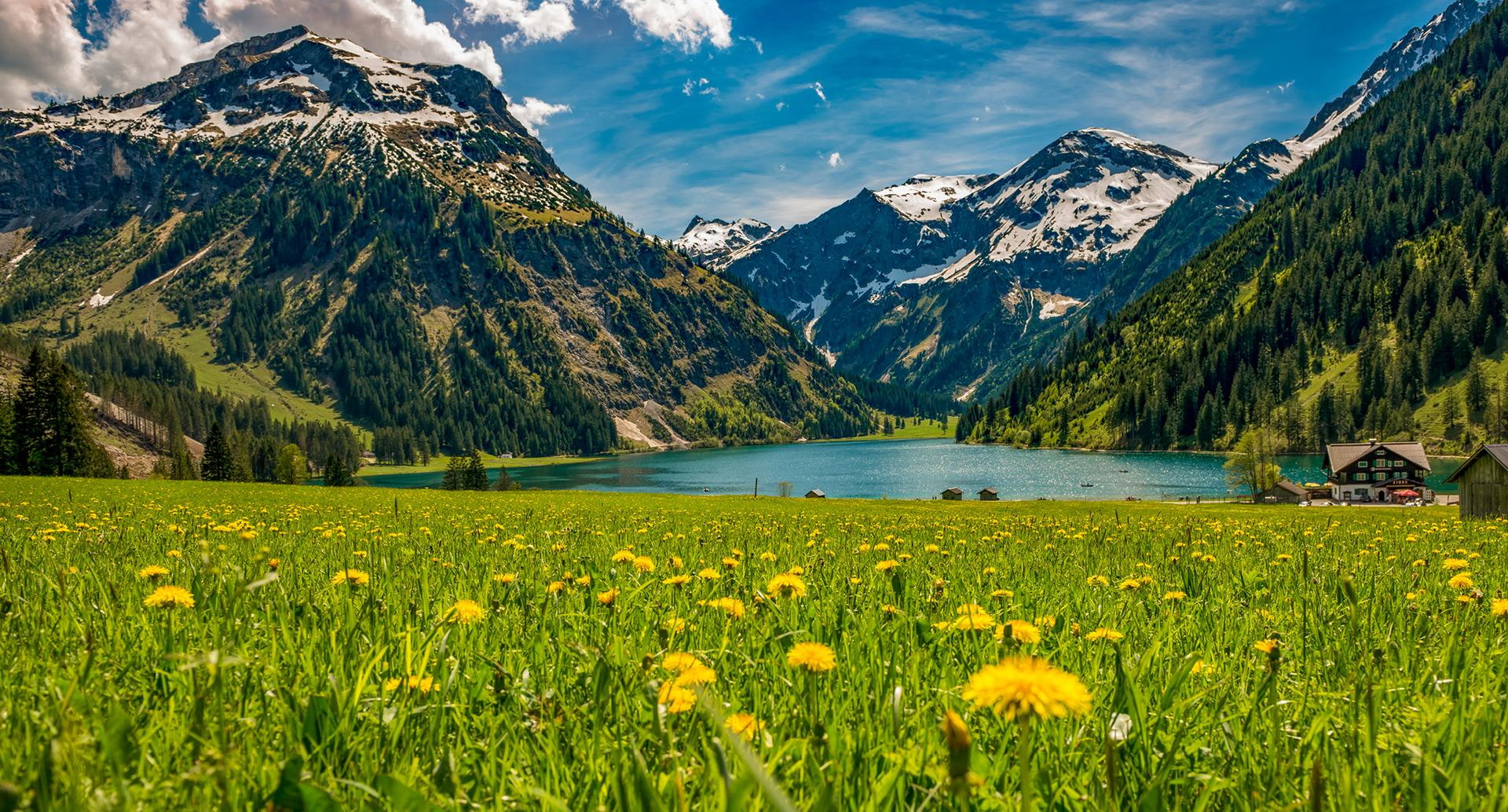 Vilsalpsee im Frühling mit blühender Wiese und Bergen im Hintergrund Tannheimer Tal Österreich